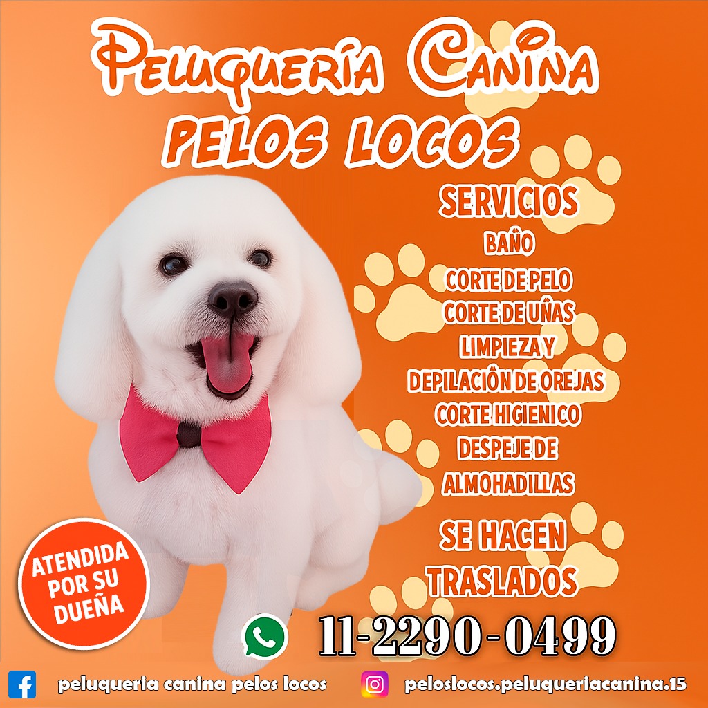 Peluquería Canina - Pelos Locos