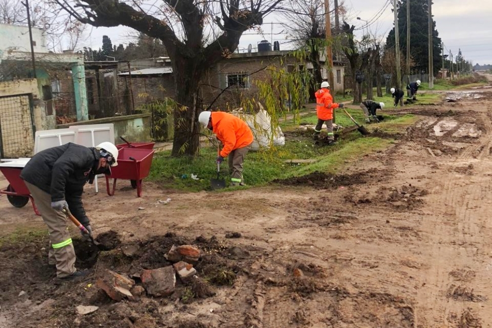 Uno de los grupos, trabajando en Máximo Paz.