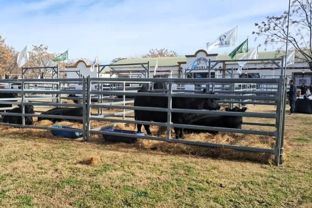 Habrá elecciones por primera vez en la SR de Cañuelas.