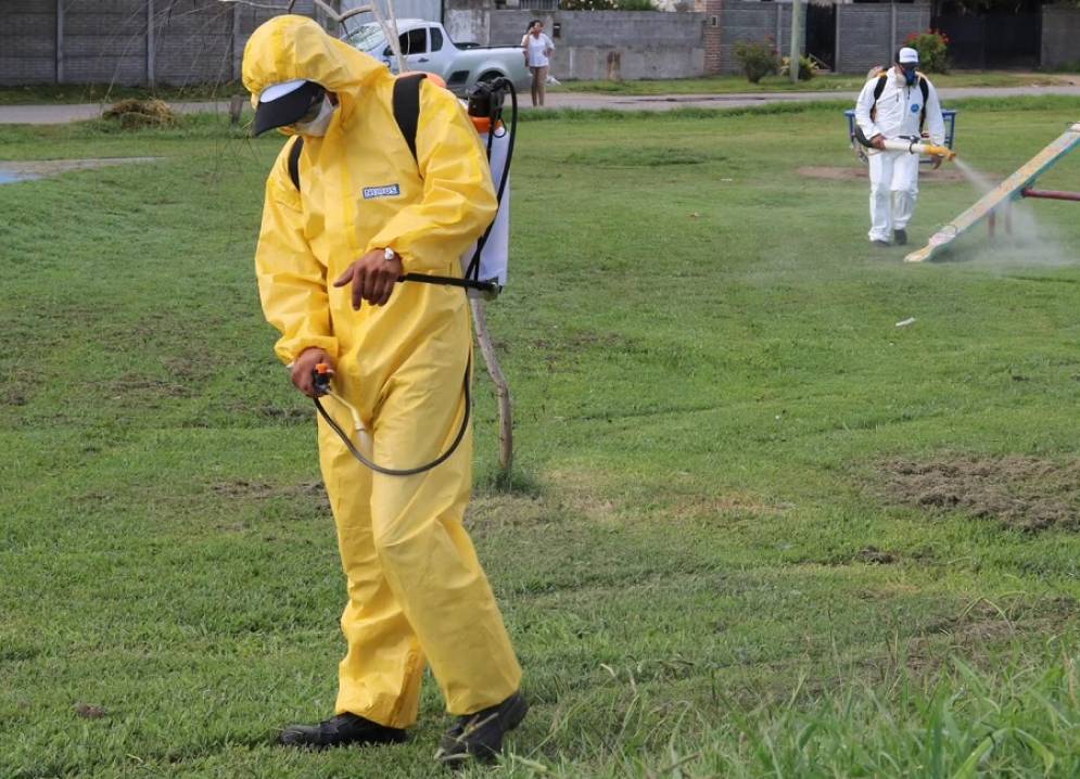 Fumigaciones masivas en la localidad.