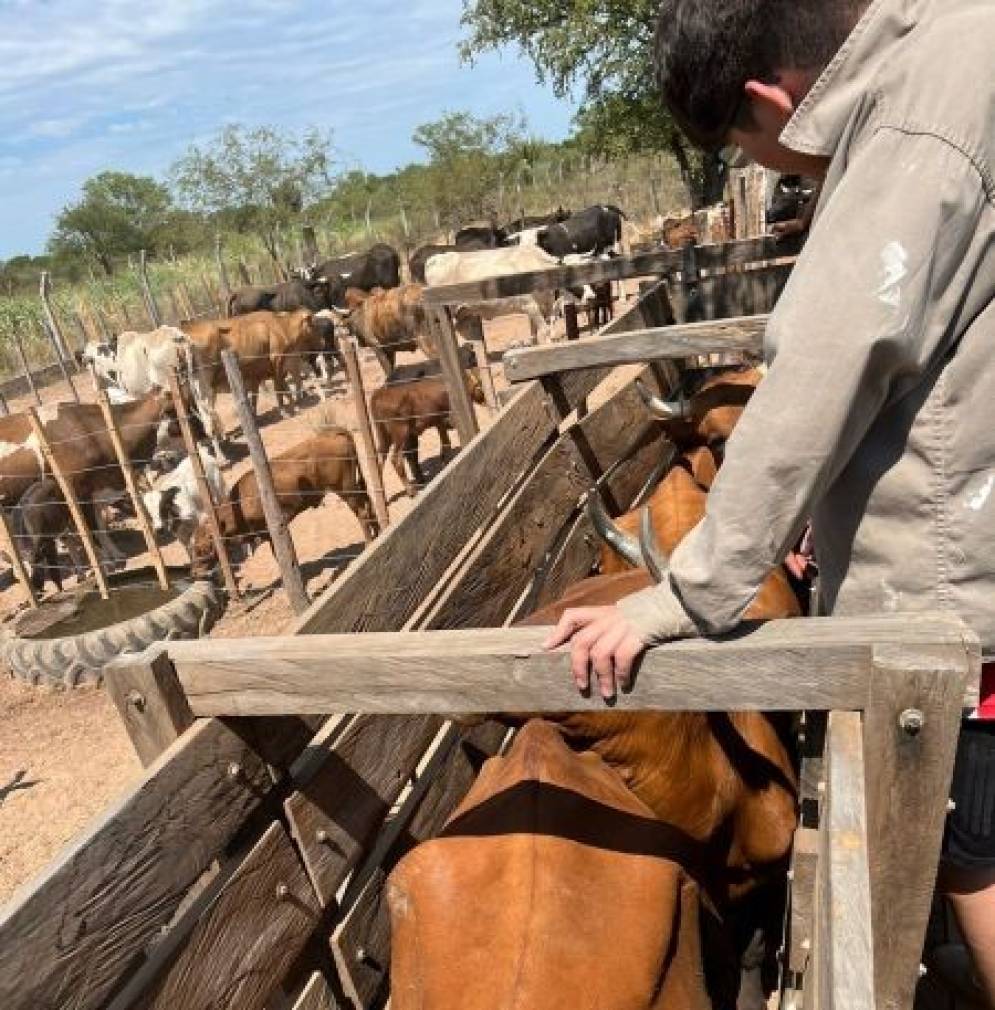Un entorno campestre que integra formaci&oacute;n t&eacute;cnica y vida animal.