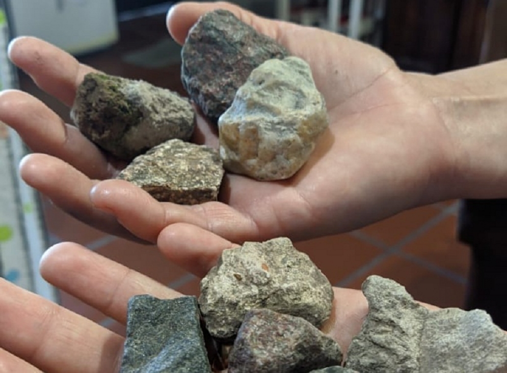 La preocupación es por la gran cantidad de piedras arrojadas por &quot;cazadores&quot;.