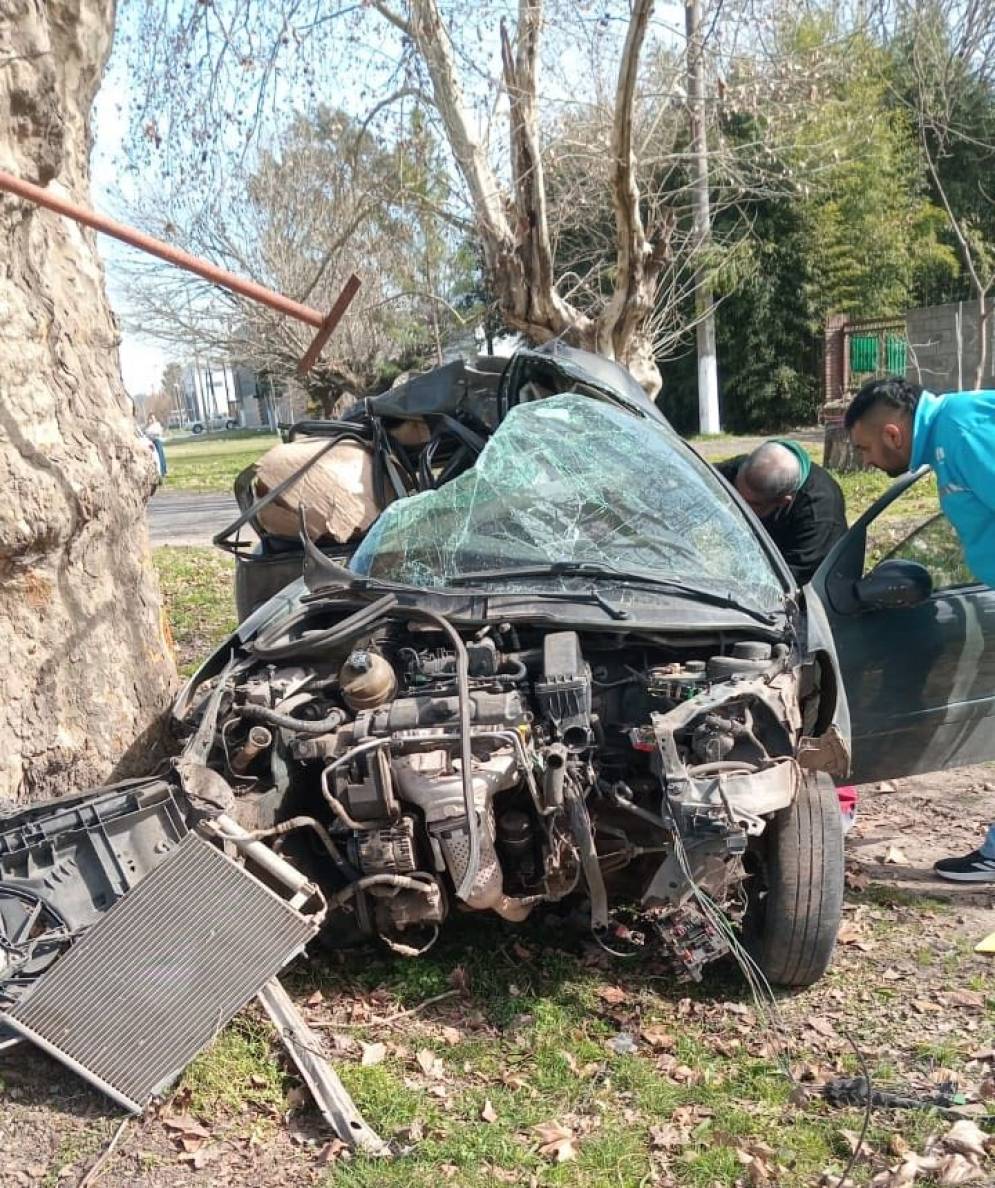 El 207 chocó frontalmente contra un robusto árbol.