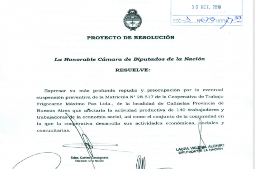 El proyecto que ingresó a diputados. 