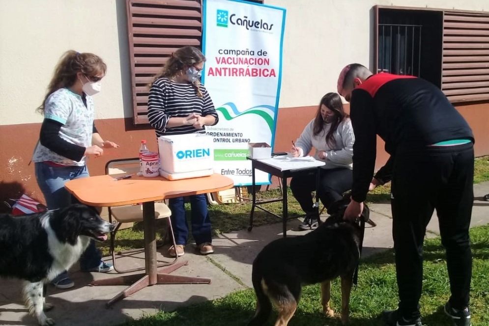 Dos mascotas esperando la aplicación de la dosis antirrábica.