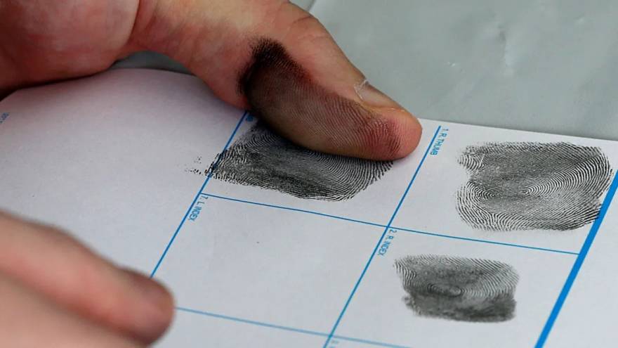 Justicia: sólo el 3,5 % de las causas penales recibe una