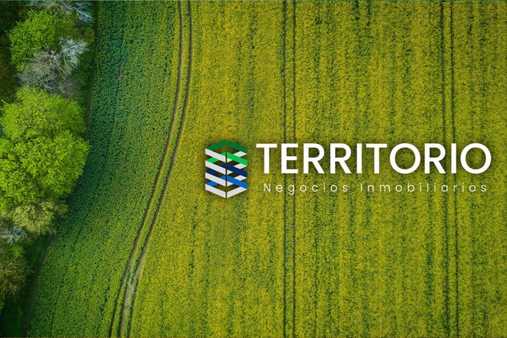 &quot;Territorio&quot; posee su oficina en Lara N°481.