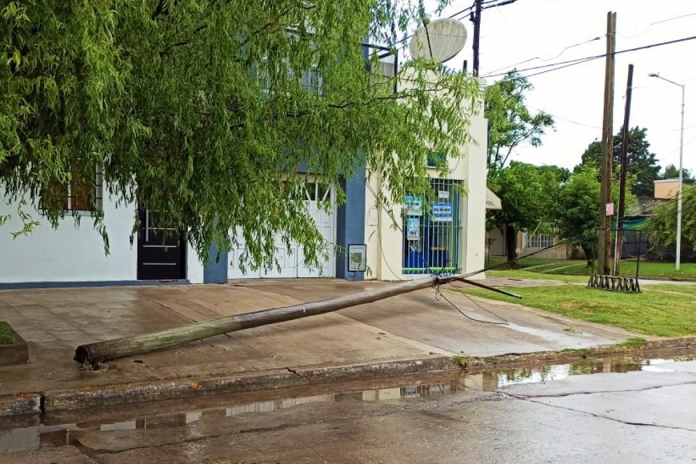 El temporal de la madrugada derribó postes y ramas