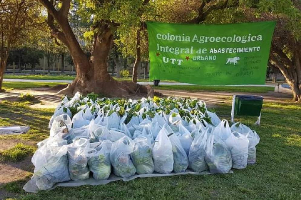 El bolsón tendrá productos como: acelga, puerro, perejil, lechuga, morrón, remolacha y choclo.